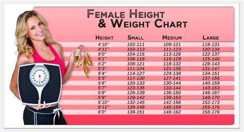 At 4'11" and 122 Pounds your BMI is 24. . Average weight for 411 female